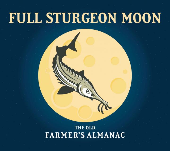 Full Moon 2024 When is the Next Full Moon? The Old Farmer's Almanac